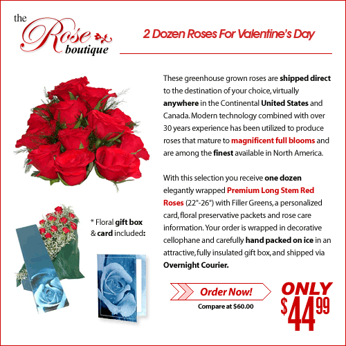 Two Dozen Roses - ONLY $49.95!